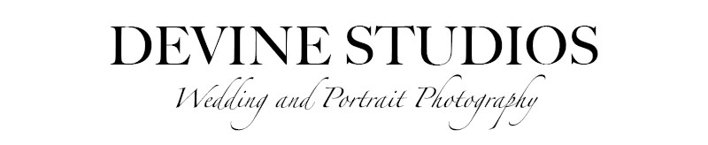 Kansas City Wedding Portrait Photographer-Seniors, Children, Family, Maternity logo